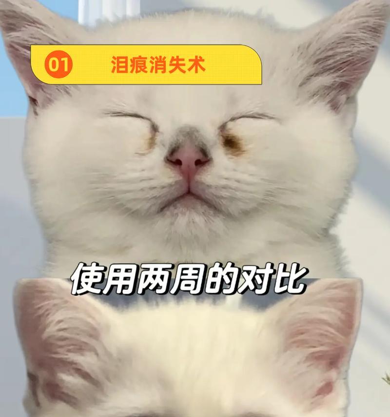 猫粮导致泪痕是正常现象吗？