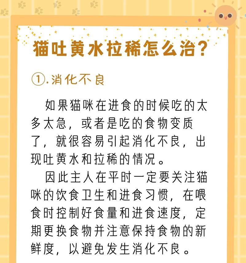 猫咪吐黄水需要做哪些检查？