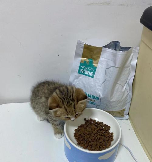 两个月大的小猫适合哪种猫粮？