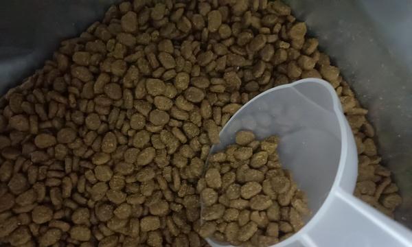 猫粮储存过程中容易受潮吗？如何防止猫粮受潮？