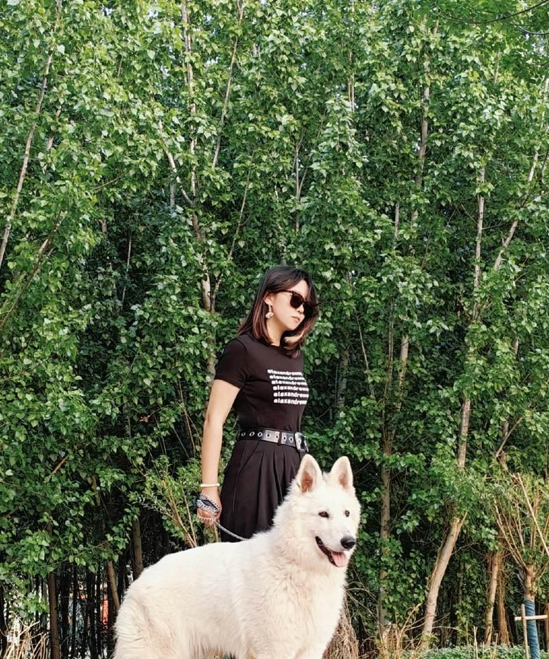 瑞士牧羊犬白德牧的市场售价是多少？