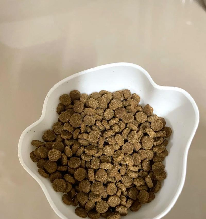 猫粮放在铁盆里不吃的可能原因是什么？如何改善猫粮的放置方式？