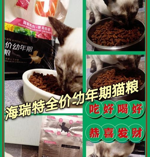 猫咪食用含牛奶猫粮会有何反应？