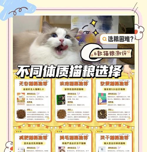 养户为猫咪选择哪种猫粮更合适？