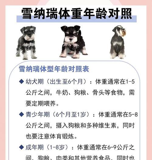 8斤重的雪纳瑞成年后体重会是多少？如何预测？
