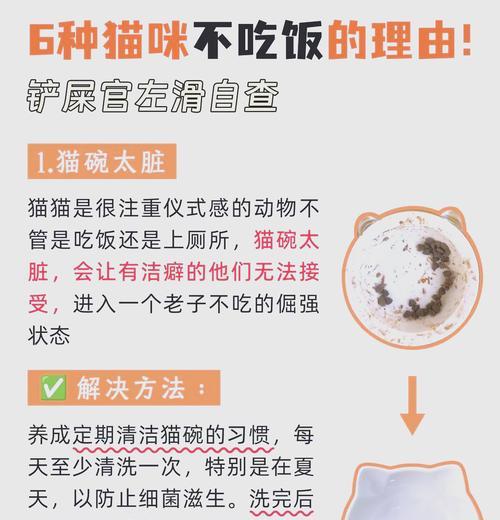 猫咪闻了猫粮却不吃是为什么？这是否表示猫粮有问题？