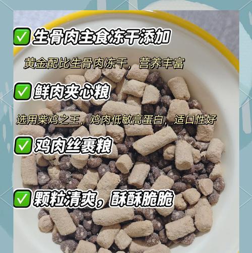 生肉与猫粮如何搭配？搭配时应注意哪些营养平衡？