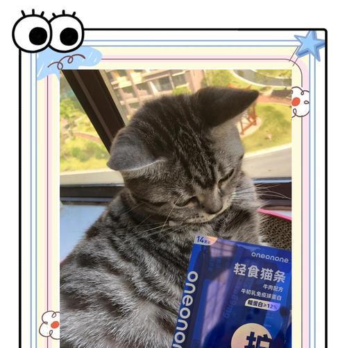 臭牛肉能做猫粮吗？制作方法是什么？