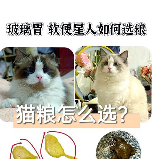 猫粮贪吃的玻蒂是什么？玻蒂猫粮的特点和评价如何？