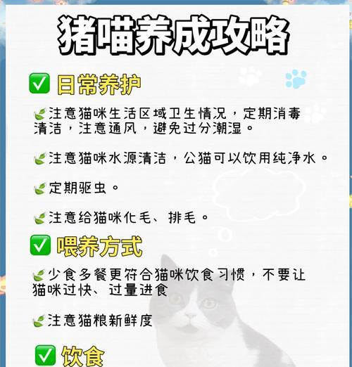 猫乱抛猫粮的原因是什么？如何防止猫乱抛猫粮？