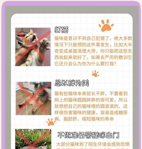 猫乱抛猫粮的原因是什么？如何防止猫乱抛猫粮？