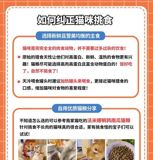 怎么纠正猫咪不爱吃猫粮？有什么方法可以让猫咪喜欢吃猫粮？