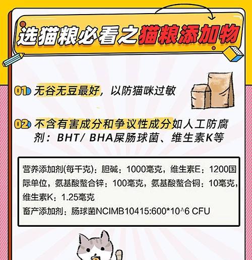 养猫时如何挑选合适的猫粮？