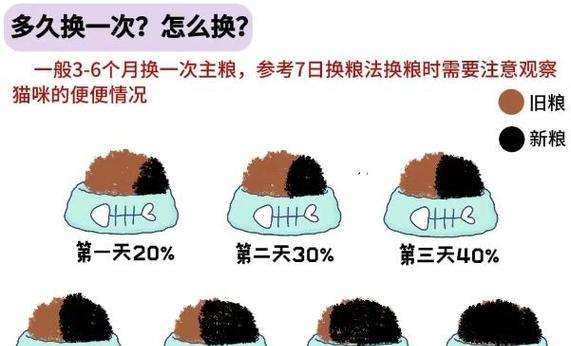 新猫咪到家需要更换猫粮吗？原因是什么？