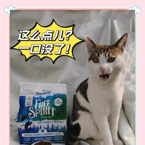 新猫咪到家需要更换猫粮吗？原因是什么？