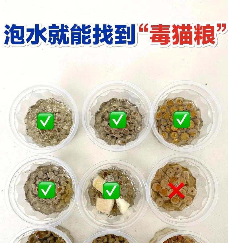 泡水猫粮如何制作更美味且营养？步骤是什么？