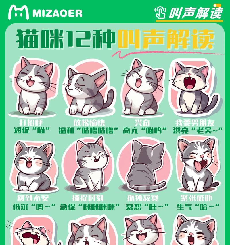 听猫粮的声音大吗为什么？