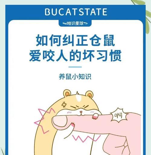 小仓鼠误食猫粮后如何处理？