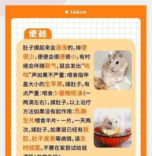 小仓鼠误食猫粮后如何处理？