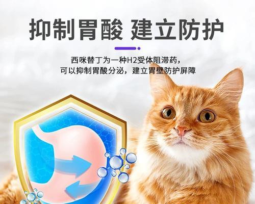 猫咪边吃边吐应该吃什么药？