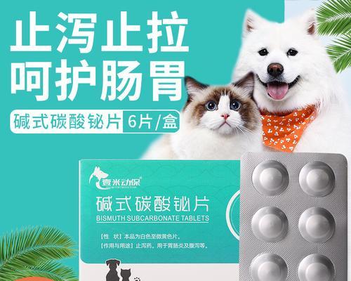 猫咪边吃边吐应该吃什么药？