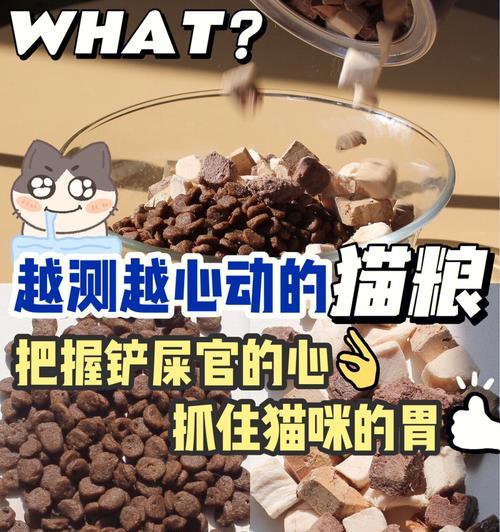 哪种品牌的薄片猫粮最安全？如何判断猫粮的质量？
