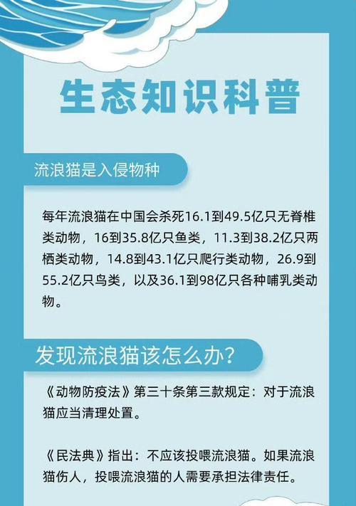 遇到流浪猫没喂猫粮会怎么样？对流浪猫的影响和我们应该做的有哪些？
