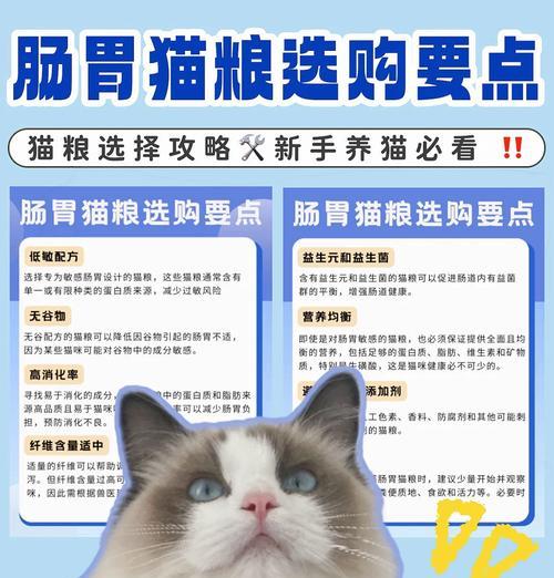 如何挑选适合猫咪的优质猫粮？