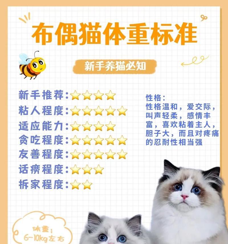 怎么看布偶猫买多少钱的猫粮？如何根据体重选择？