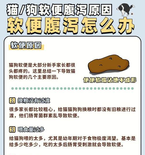 猫换粮导致拉稀的原因是什么？