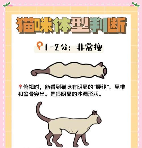 猫不吃猫粮偏瘦正常吗？偏瘦的原因和解决方法是什么？