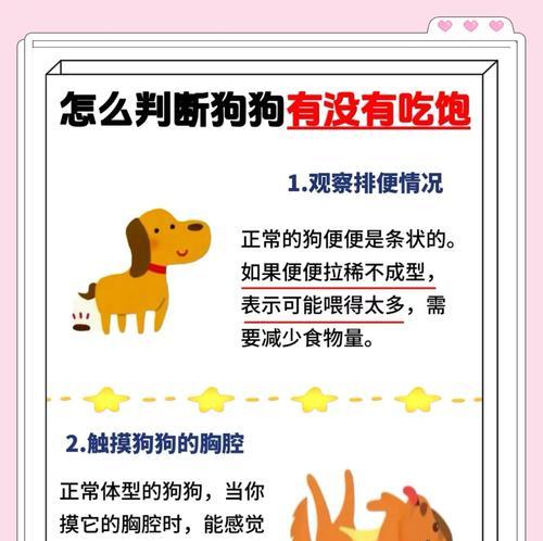 小狗吃猫粮下奶水的原因？
