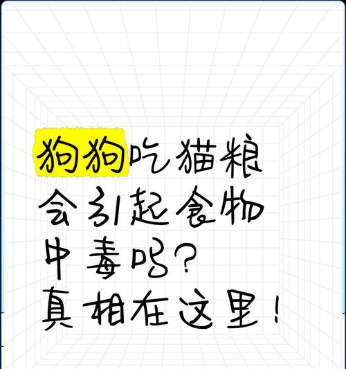 小狗吃猫粮下奶水的原因？