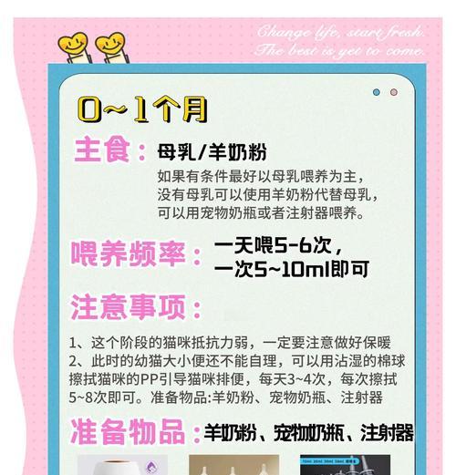 奶猫满月猫粮怎么喂好呢？满月小奶猫的正确喂食方法是什么？