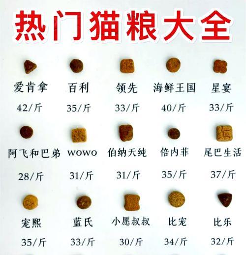 5至6个月龄猫咪适宜的猫粮选择？