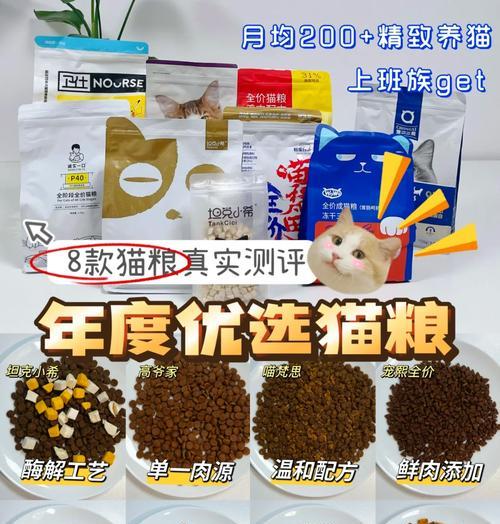 南昌购买猫粮附赠猫咪是怎样的体验？需要注意什么？