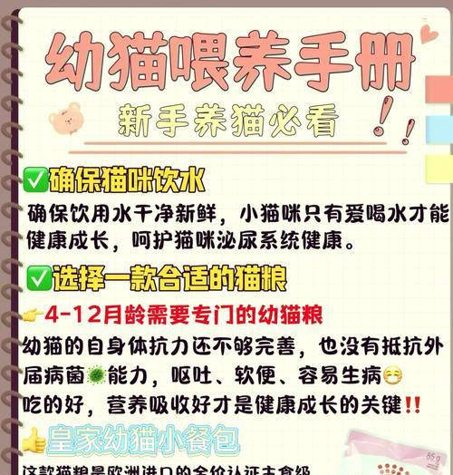 幼猫是否适合吃软粮？如何正确喂食？