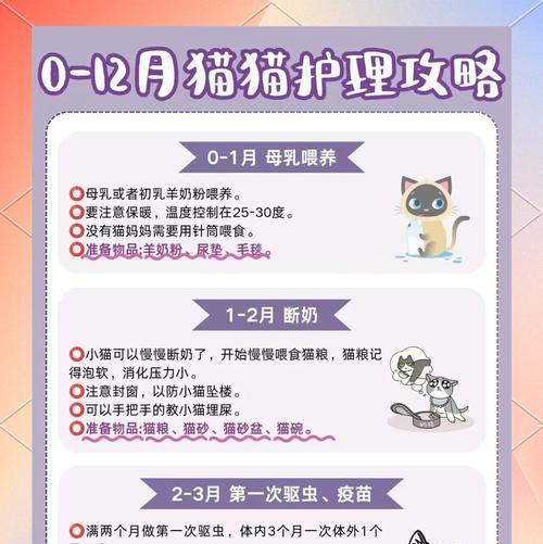 幼猫是否适合吃软粮？如何正确喂食？
