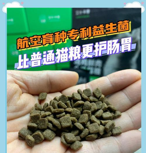 金渐层增重应选择哪种猫粮？