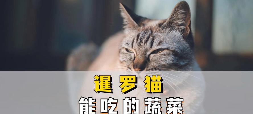 猫偏爱吃小青菜是缺乏什么？