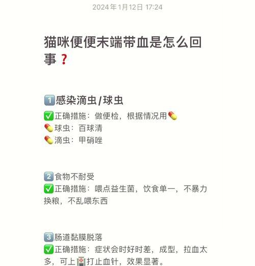 猫咪食用不同猫粮后拉血？应如何应对？