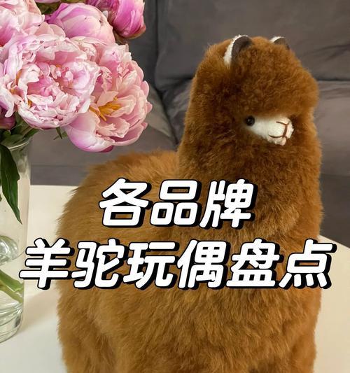 羊驼戴装饰有哪些技巧？如何选择适合羊驼的装饰？