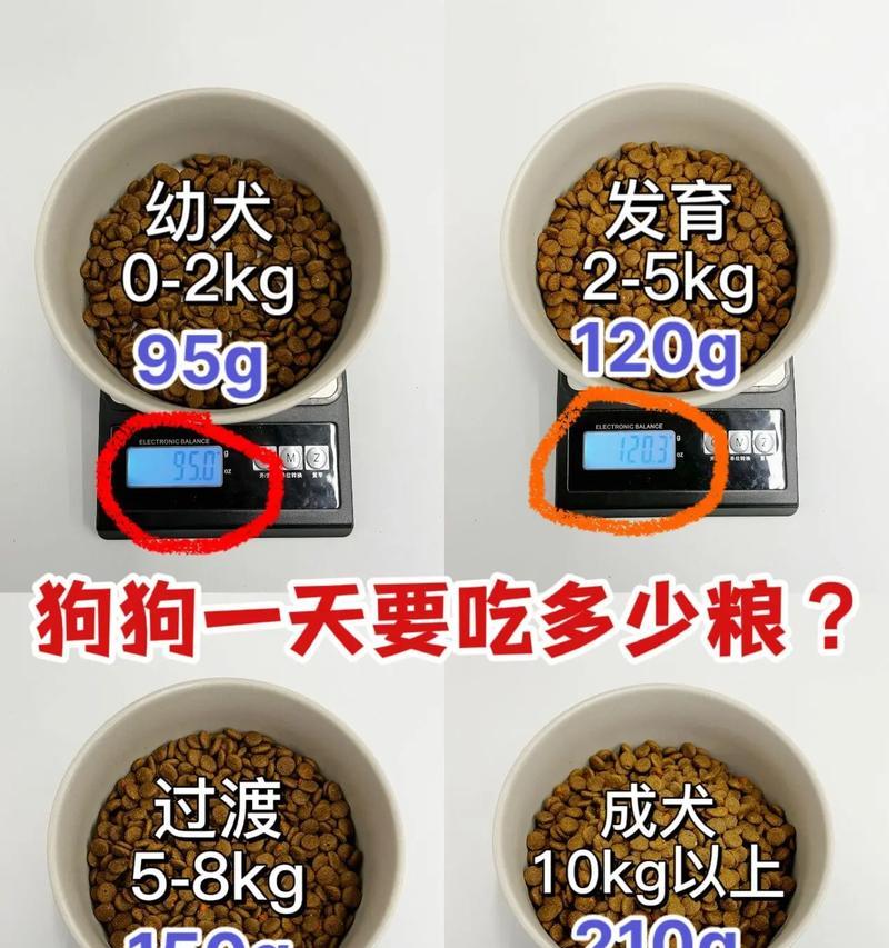 1个月德牧食量多少正常？如何判断食量是否合适？