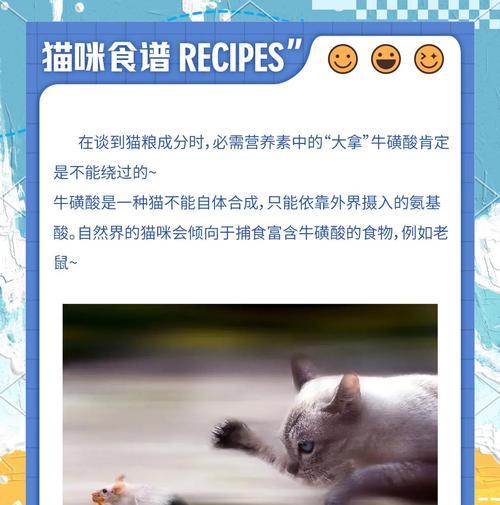 牛为何不能吃猫粮？猫粮对牛的健康有何影响？