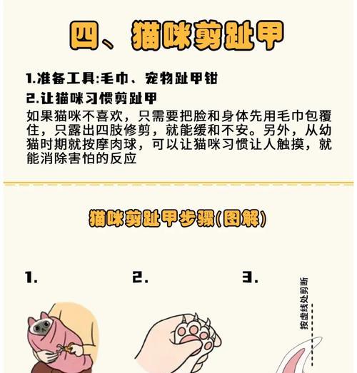 猫粮铲屎铲子清洗方法有哪些？
