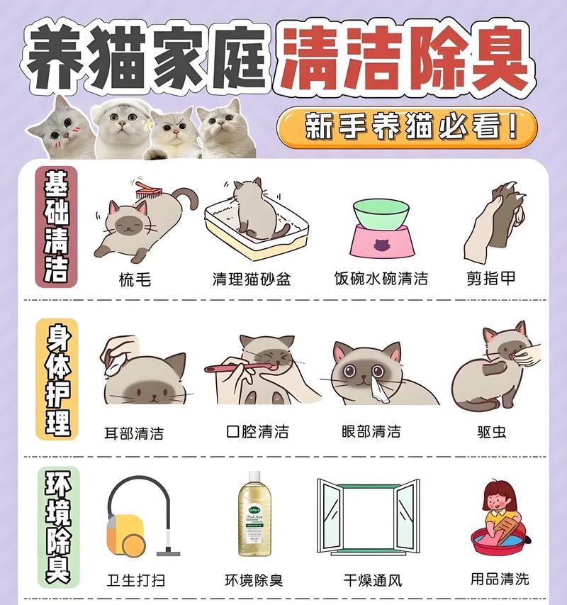 猫粮铲屎铲子清洗方法有哪些？