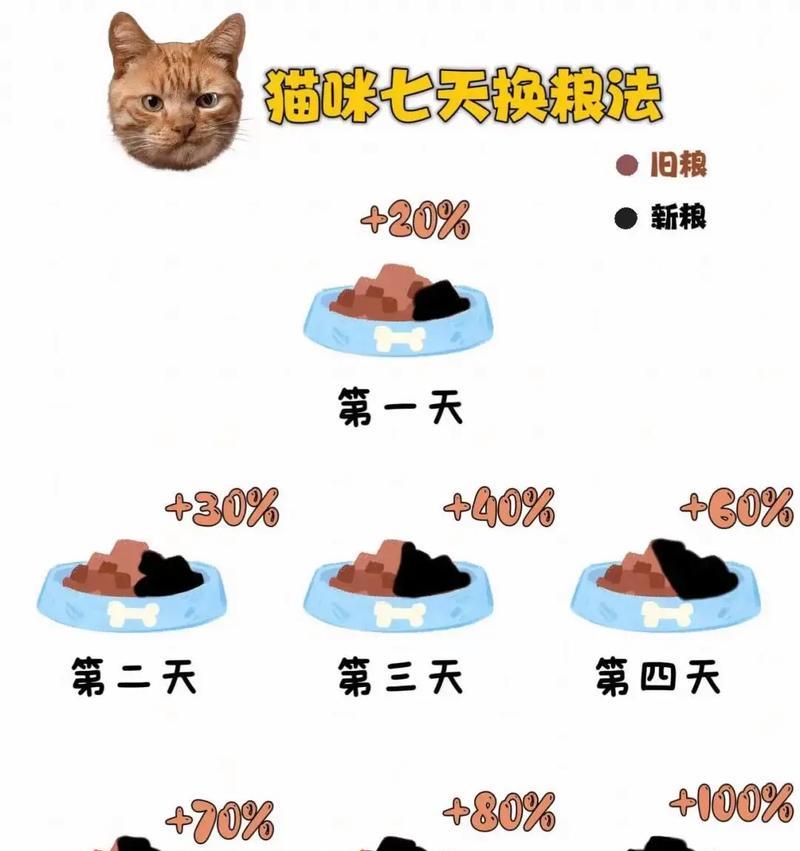 猫换肉粮后拉稀的解决方法是什么？