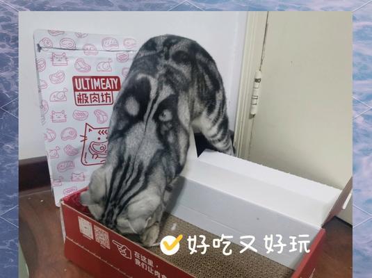 碎肉做干猫粮怎么做？需要哪些材料和步骤？