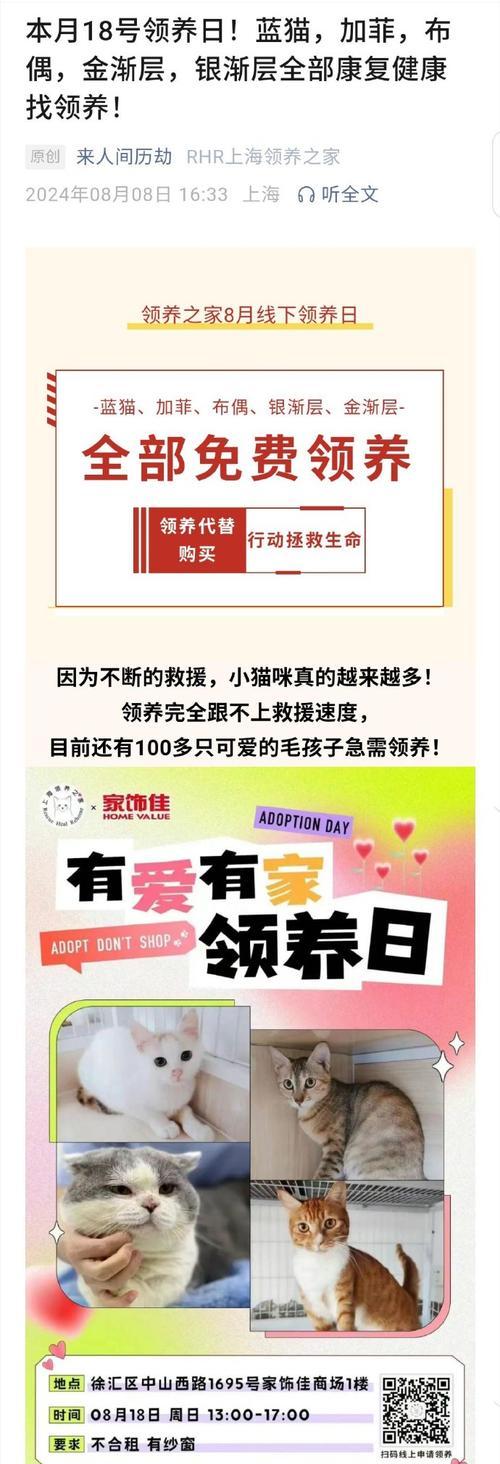 领养猫咪捐赠猫粮怎么办？如何参与捐赠活动？