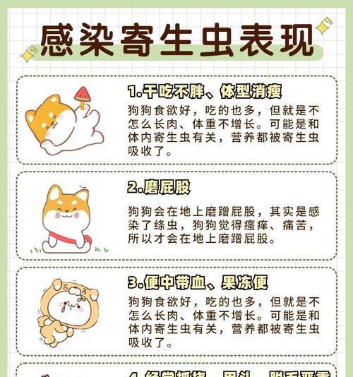 德牧多久需要打一次虫？如何正确进行驱虫？